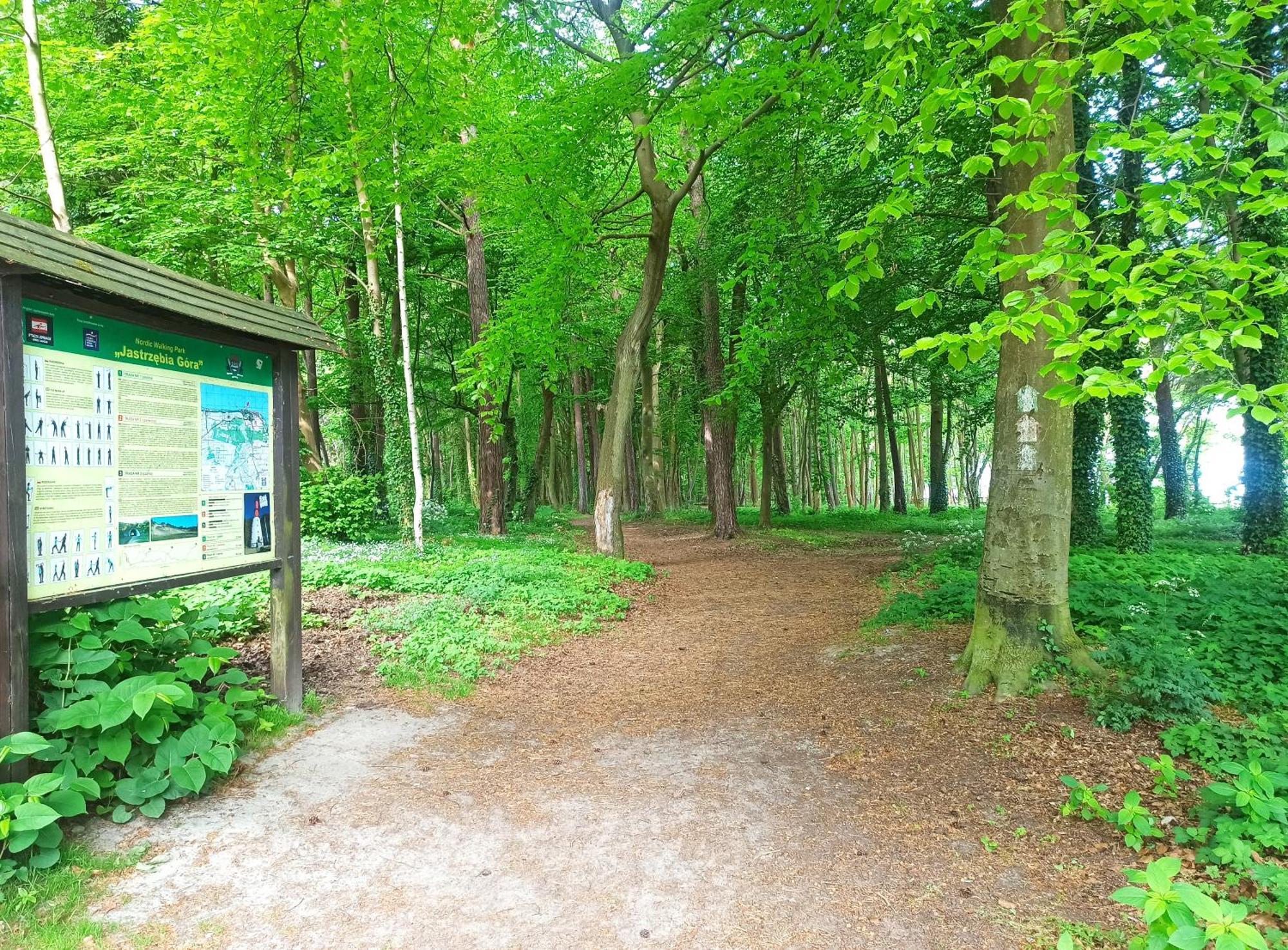 Komfort Alexa Jastrzębia Góra Zewnętrze zdjęcie